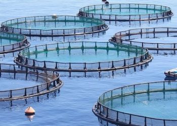 Ώθηση σε νέες επενδύσεις και ξεμπλοκάρισμα παλαιών στις υδατοκαλλιέργειες