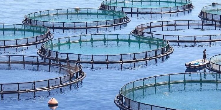 Ώθηση σε νέες επενδύσεις και ξεμπλοκάρισμα παλαιών στις υδατοκαλλιέργειες