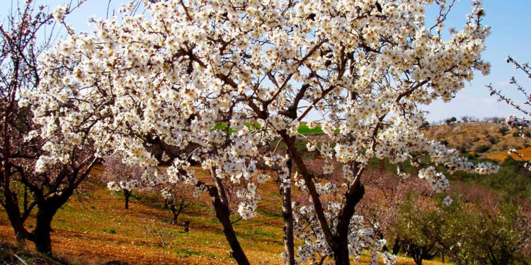 21η Μαρτίου – Παγκόσμια μέρα ποίησης