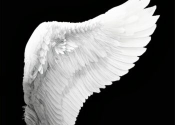 Γιάννης Ρίτσος – Απόσπασμα από το ποίημα Σχήμα της απουσίας