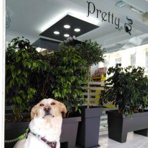 Pretty Cafe