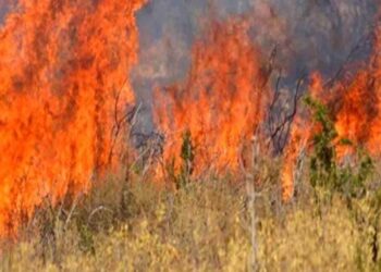 Φέριζα Σαρωνικού – Πυρκαγιά σε εξέλιξη και μήνυμα εκκένωσης από την Πολιτική Προστασία (112)