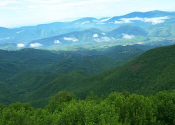 Το παρθένο δάσος Φρακτού