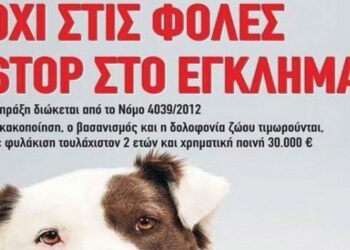 Τα πρόσωπα της κακοποίησης ζώων – Θλιβερά τα στοιχεία – Ποιο το προφίλ του θύτη