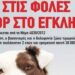 Τα πρόσωπα της κακοποίησης ζώων – Θλιβερά τα στοιχεία – Ποιο το προφίλ του θύτη