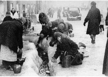 Οι γάτες του Λένινγκραντ