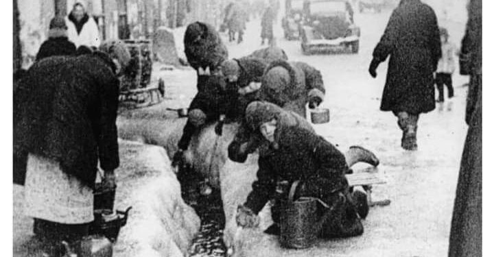 Οι γάτες του Λένινγκραντ