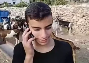 Νάξος: 12χρονος βοσκός είναι αριστούχος μαθητής